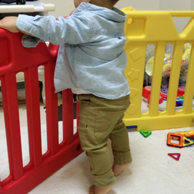 ＊歩いた〜！！＊の画像