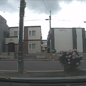 土砂降りの雨の中で・・・の画像