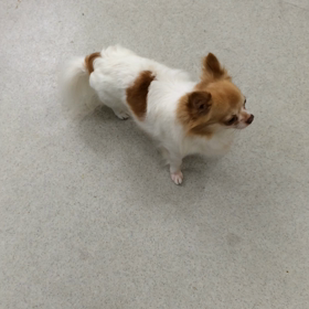 ♪プレイルーム動画♪②の画像