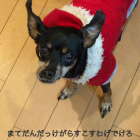 チップの すこすけろの画像