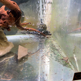 本日は定休日‼️の画像