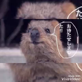 またまた作ってしまったフォトムービーの画像