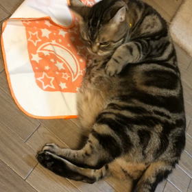 おみやげ(*･ω･)ﾉの画像