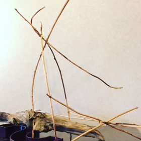 創造の喜びの画像