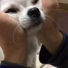 生き返りました！の画像