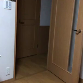 病院の待ち時間は息が詰まる。一日中雨でもデールは元気！の画像