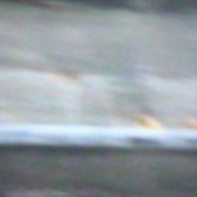 ローリング族 ⁈の画像