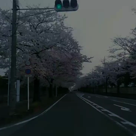 忙しかったの画像