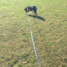 久々の…の画像