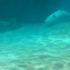 なんか、つかれてまして。の画像