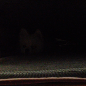 2016/05/27  に書いたブログの画像