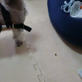 イチロー！の画像