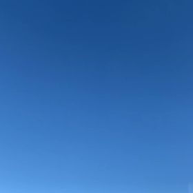 もう秋やねの画像