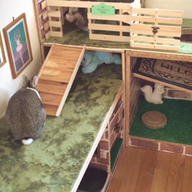 通せんぼの画像