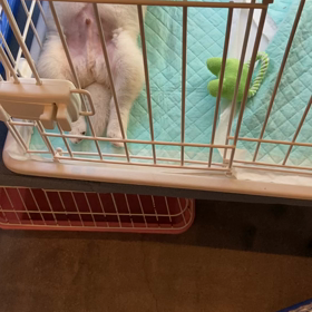 ウソみたいな寝姿の画像