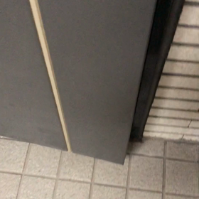 ポイント獲得諦めたよ！デールのお出迎え^ - ^にゃん！の画像