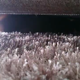 (動画あり)『取りたくて』を『撮りたくて』の画像