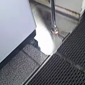 a2東○店並びの画像