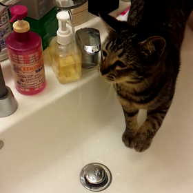 よし子 水遊び(〜￣▽￣)〜の画像