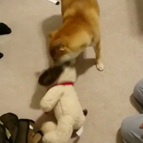 ちぎれる〜(^ ^)の画像