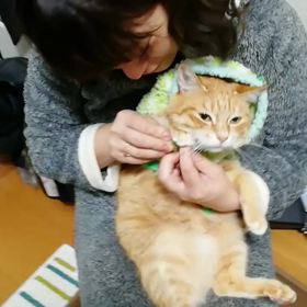 逃亡の画像