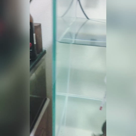 ゴハンの様子② クロちゃんの闘いの画像