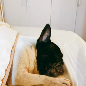 どうもありがとうございました(*'▽'*)の画像