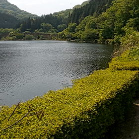 碓氷湖を散策の画像