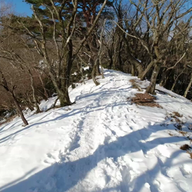 2023.1.1 兵庫県 段ヶ峰_5回目（その4）往路Vlogの画像