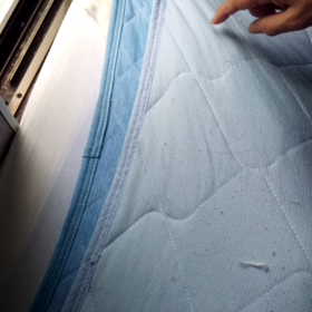 ネコ！面白いじゃないかい！の画像