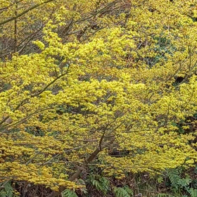 あなたは どんなタイプ？の画像