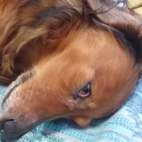 危険な白目の画像