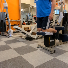 グルートハムレイズの画像