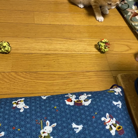 元気に成長しています。の画像