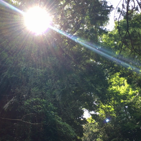 神様の音の画像