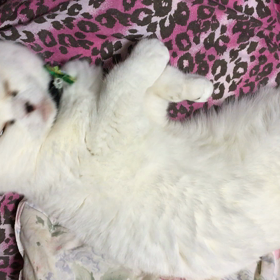 寒いのでの画像