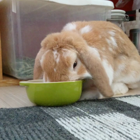 最高だねの画像