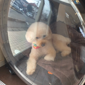 ⬛️2/1〜2/7＊酸素カプセルご利用のお友達⬛️の画像