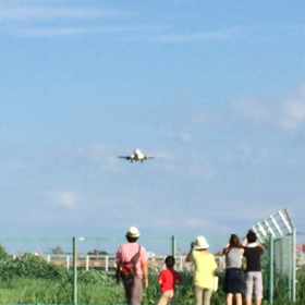 久しぶりに飛行機の画像