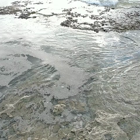 処理に何年かかる？！の画像