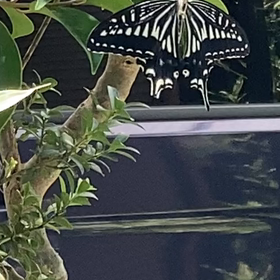 介護記録１１７（言葉の暴力）の画像