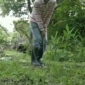 雨上がりの畑にの画像