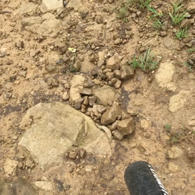 色々吹っ飛ばす！の画像