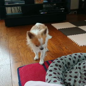 2018/5/5 ☀️の画像