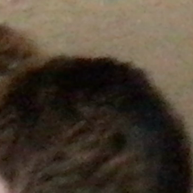 ふすまを開ける クーちゃんの画像