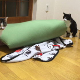 スーパーボールの画像