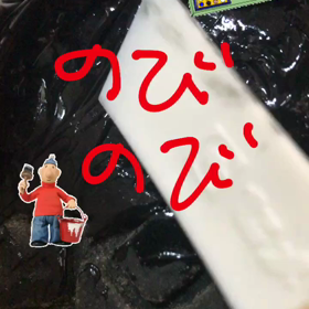 そのニの画像