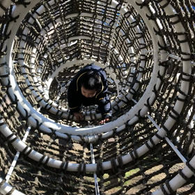 さくら公園ネットの画像