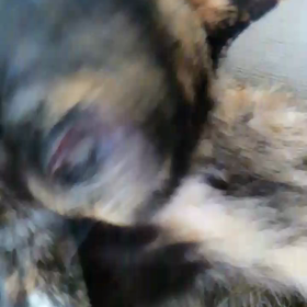 キレイに～の画像