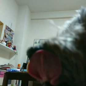 無条件で笑顔にしてくれるの画像